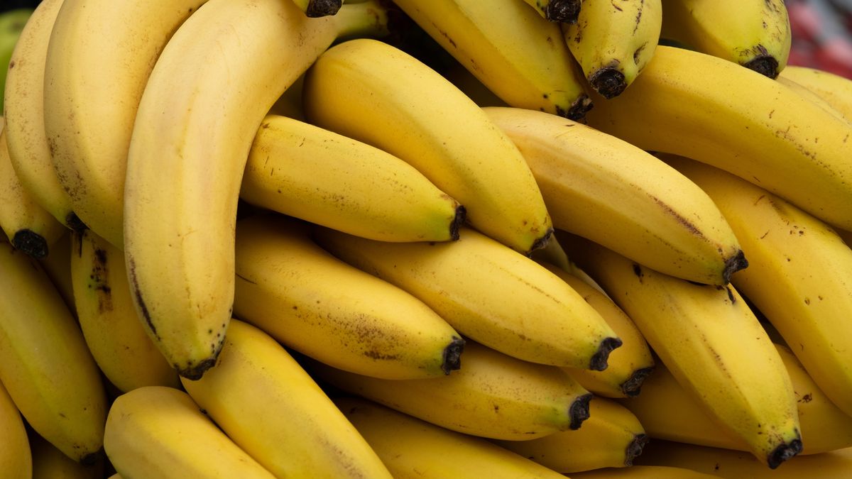 Ripe yellow bananas at the shopping market. Fruits that are good for health. The concept of vegetarianism, veganism and raw food. Vegetarian, vegan and raw food and diet. Food background, bright color. Retail sale of seasonal products.
Ripe yellow bananas at the shopping market. Fruits that are good for health. The concept of vegetarianism, veganism and raw food. Vegetarian, vegan and raw food and diet. Food background, bright color. Retail sale of seasonal products.
Aleksandr Zubkov