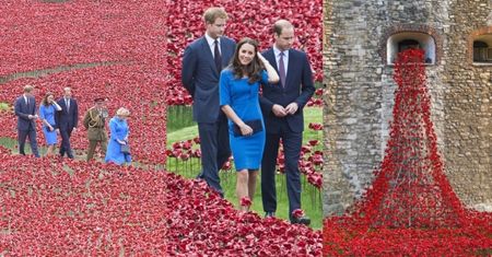 Kate, William i Harry w morzu czerwonych maków! (ZDJĘCIA)