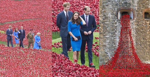 Kate, William i Harry w morzu czerwonych maków! (ZDJĘCIA)