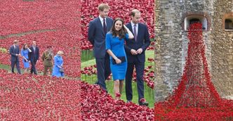 Kate, William i Harry w morzu czerwonych maków! (ZDJĘCIA)