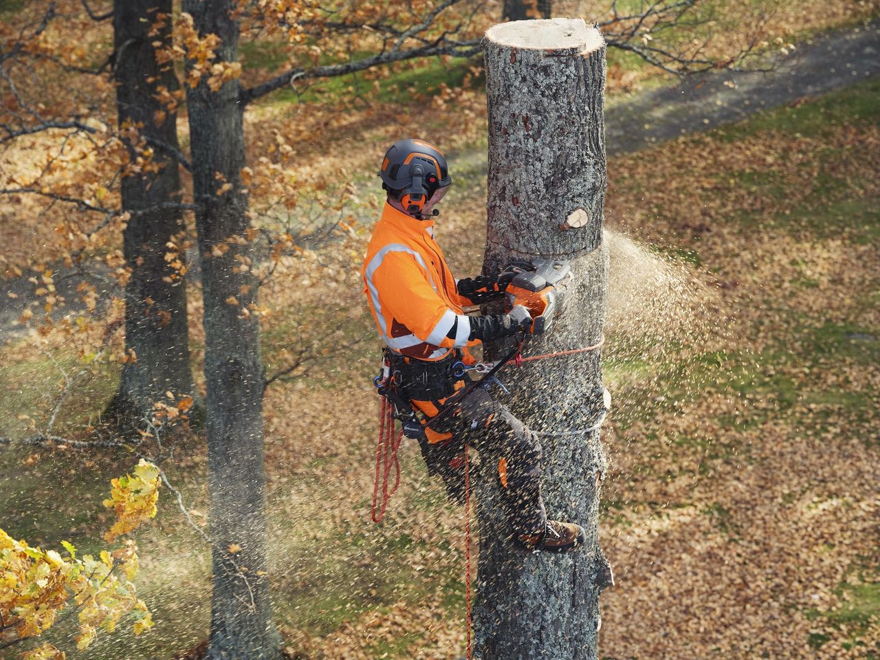 Husqvarna prezentuje przełomowe pilarki łańcuchowe dla profesjonalistów