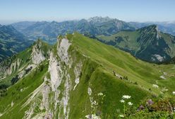 Bolesławiec. Niesamowity wyczyn Dolnoślązaków. Przebiegli 314 kilometrów morderczą trasą po szwajcarskich Alpach
