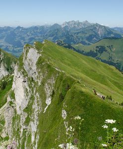 Bolesławiec. Niesamowity wyczyn Dolnoślązaków. Przebiegli 314 kilometrów morderczą trasą po szwajcarskich Alpach