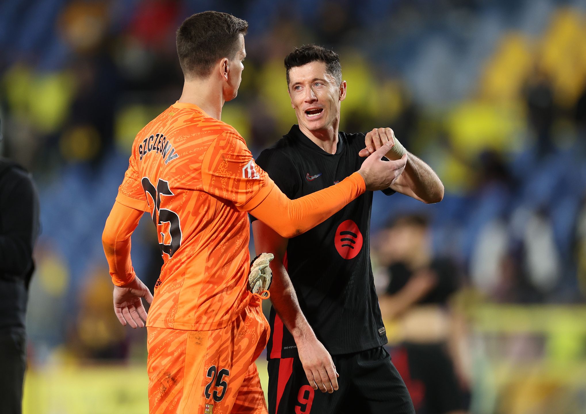 Robert Lewandowski, Wojciech Szczęsny