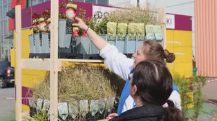 Rumia: Odbierz sadzonki. Wielka akcja "Drzewko za surowce wtórne"