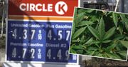 Marihuanę będzie można kupić legalnie na stacjach benzynowych w USA