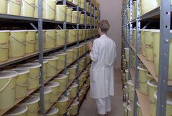 Przez lata wycinali mózgi pacjentom. Przechowują w wiadrach 9,5 tys. sztuk