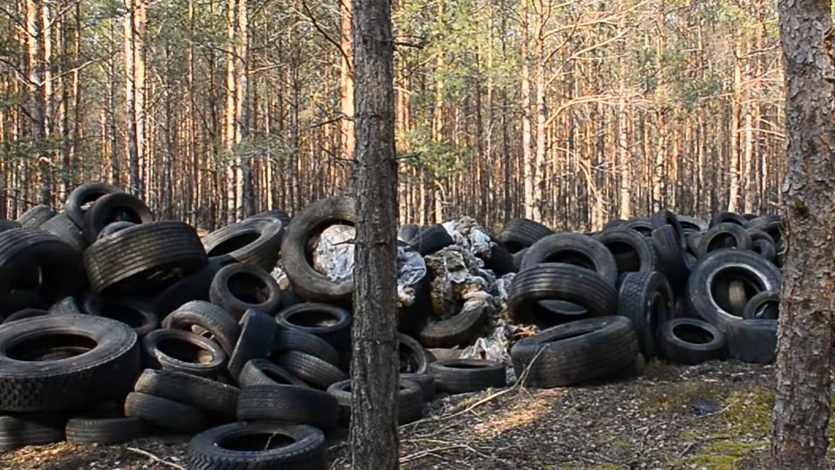 Opony wyrzucone w lesie