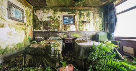 Opuszczony hotel w Irlandii. Natura sięgnęła po swoje