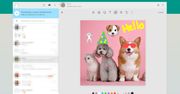 WhatsApp ma nowy edytor. Możesz dorysować cokolwiek