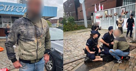 Wandale przyłapani przy Stoczni Gdańskiej. Odpowiedzą przed sądem