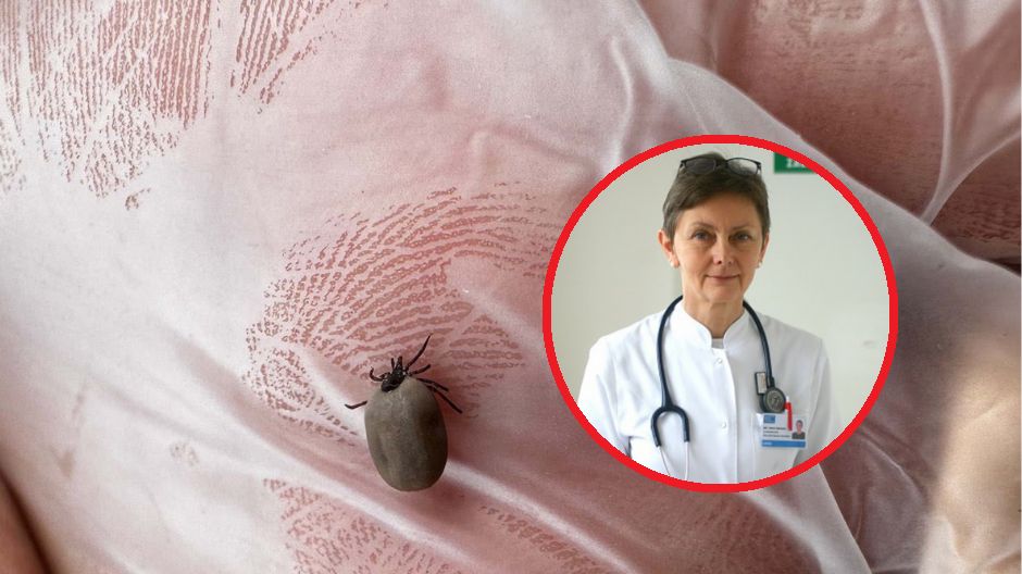 Zachorowań na boreliozę jest coraz więcej
