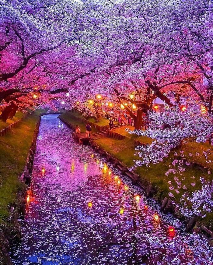 Japonia