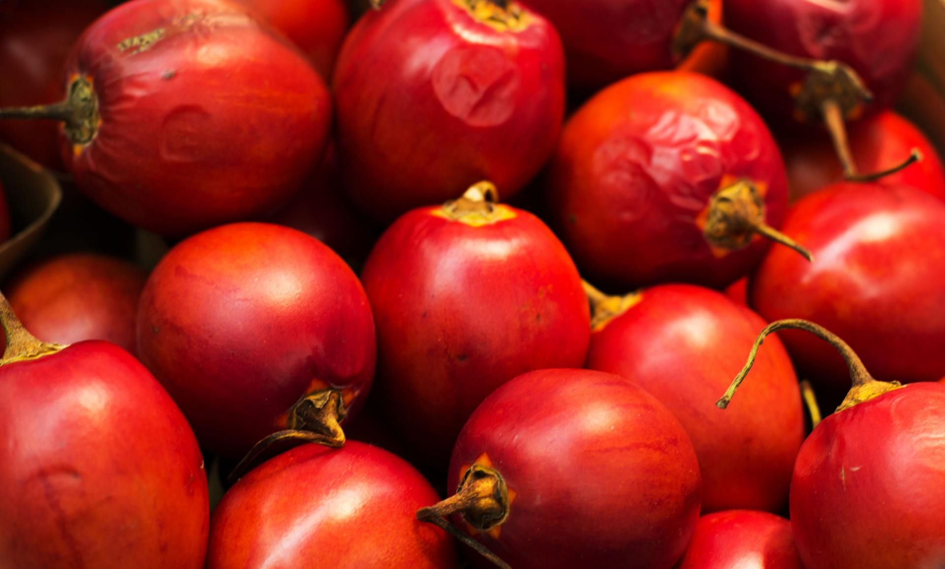 123 rf Właściwości tamarillo 