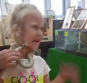 Mała dziewczynka ugryziona przez węża w rosyjskim zoo