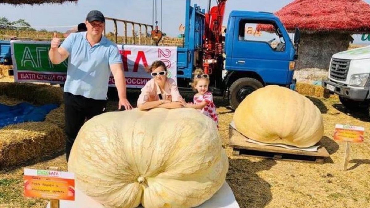 Rosyjski rolnik wyhodował olbrzymią dynię. 