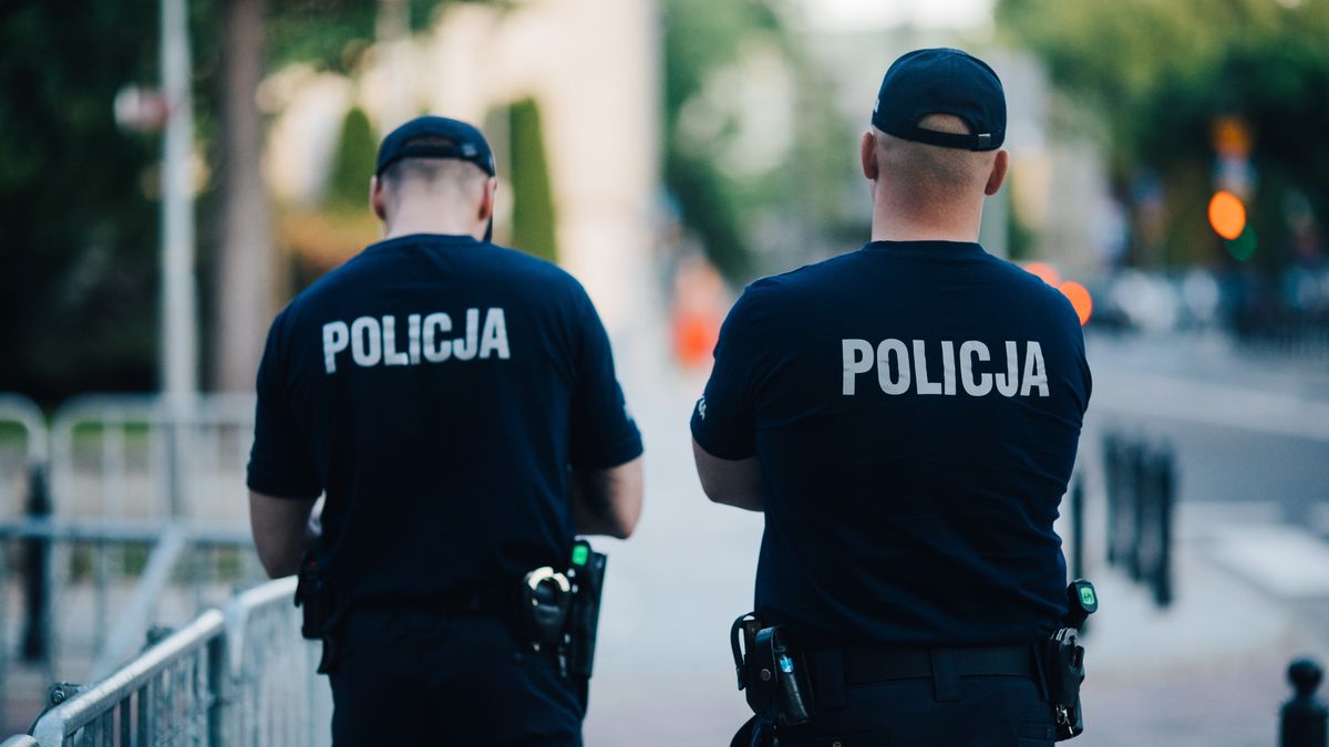 wpwiado policja