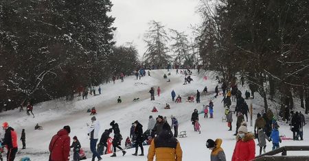 Ferie 2021. Wrocław poleca się na sanki. Oblężenie na miejskich górkach