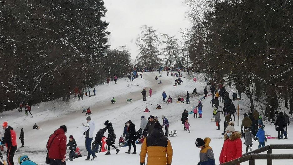 Ferie 2021. Wrocław poleca się na sanki. Oblężenie na miejskich górkach