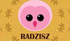 Rafał Masny ruszył z własnym podcastem „Radzisz”
