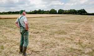 Rolnik-rekordzista. Takich długów na wsi nie ma nikt inny