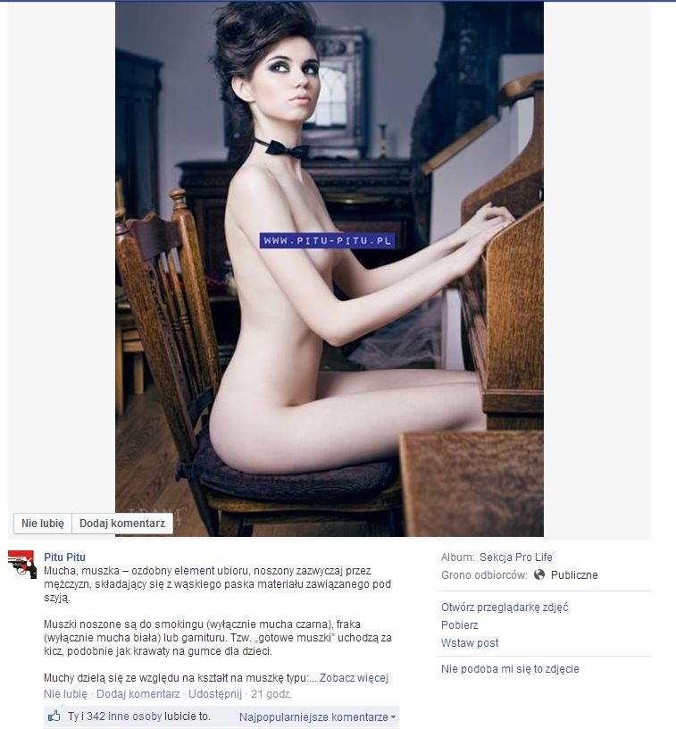 Cisza wyborcza w Sieci? Omijamy! Nasza zdolność do piętnowania absurdów to powód do dumy! 5