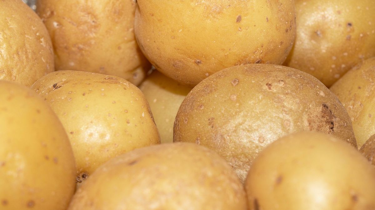 Takie ziemniaki są najzdrowsze