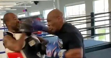Ależ forma dawnego mistrza! Mike Tyson niemal powalił swojego trenera (wideo)