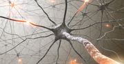 Nowy laserowy chip miliard razy szybszy od neuronów. Przyśpieszy rozwój AI