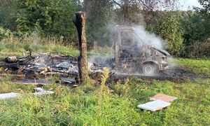 Tragiczne odkrycie w lesie. Trafili na ciało kobiety