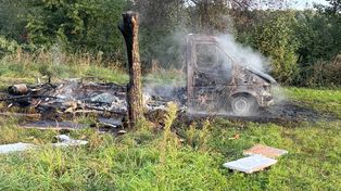 Tragiczne odkrycie w lesie. Trafili na ciało kobiety