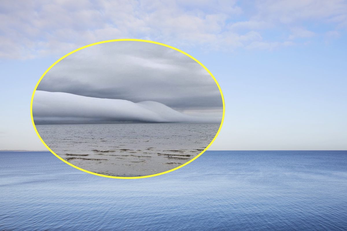 Wał rotorowy widziany był nad Bałtykiem u wybrzeży Łotwy 