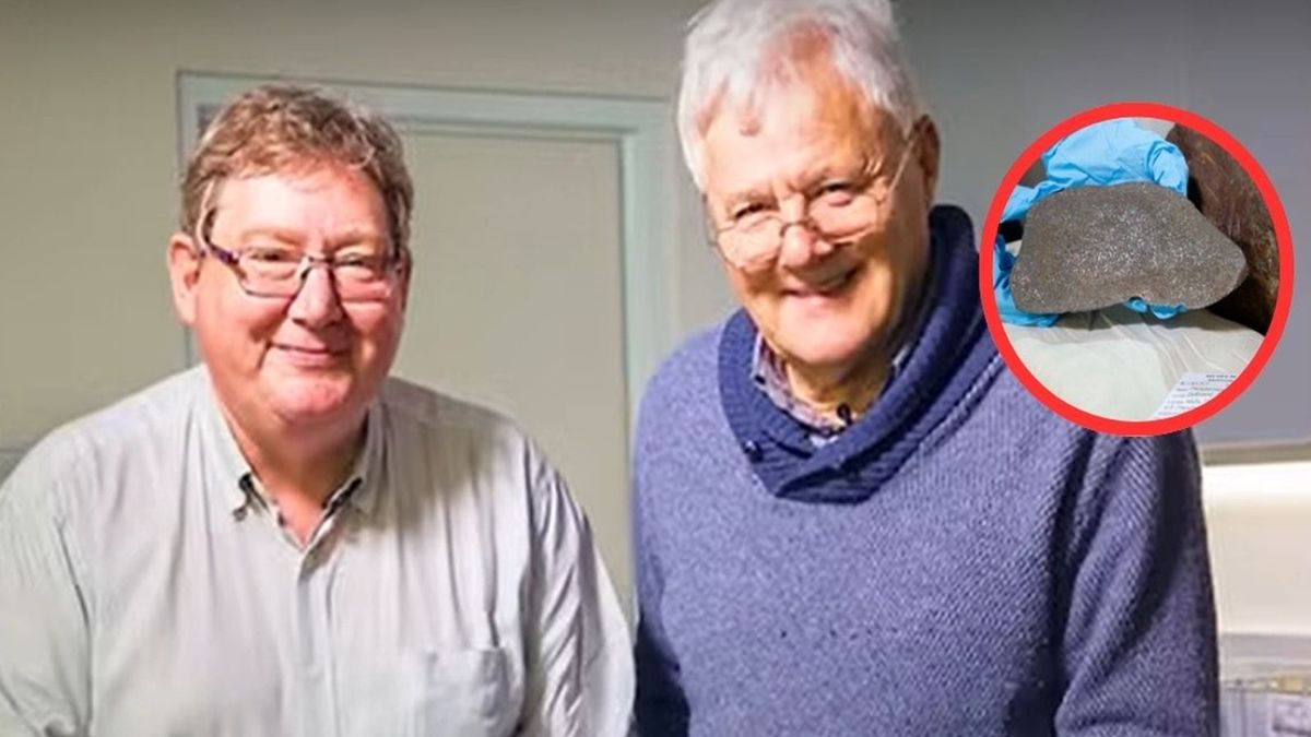 Znalazł meteoryt myśląc że to złoto
