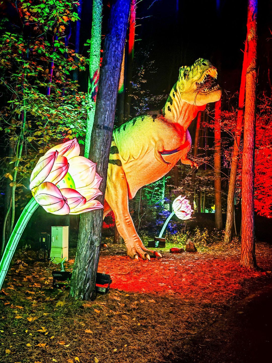 Lumina Park w Bydgoszczy - zdjęcia z sezonu 2025/2026.