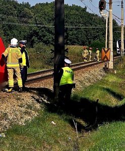 Wjechał rowerem pod pociąg. Nie żyje