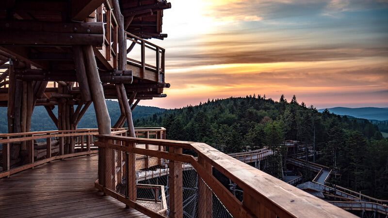 Krynica-Zdrój. Wieża widokowa ze ścieżką edukacyjną już czynna 1