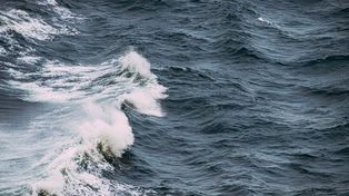 El Niño zmienia kolor Pacyfiku. Skutki widoczne z kosmosu