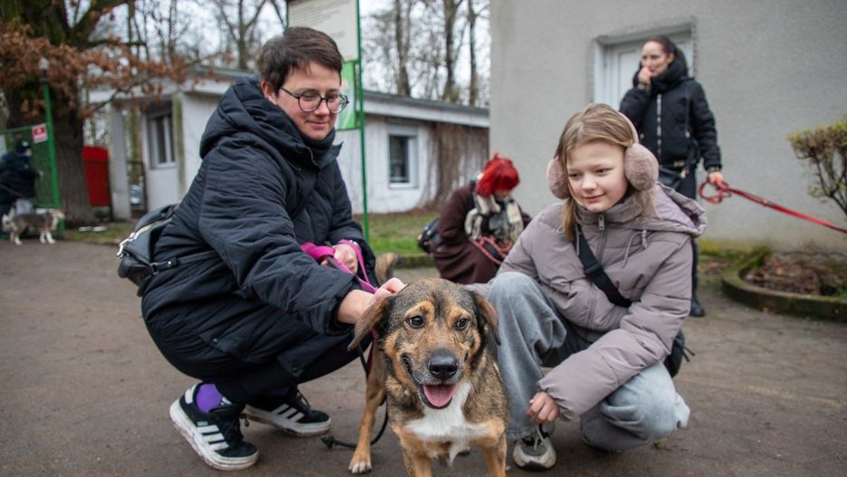 Akcja &#34;Wyprowadź psa na spacer&#34; w toruńskim schronisku