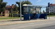Włocławek: Miasto modernizuje przystanki. Pierwsze utrudnienia dla pasażerów MPK