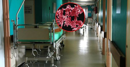 W Czechach wzrosła liczba zachorowań na gruźlicę. Połowa chorych to obcokrajowcy