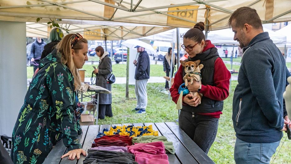 Nienajlepsza pogoda nie zniechęciła właścicieli psów do przyjścia na piknik