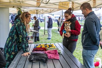 Kraków: Psy u behawiorysty i dietetyka na specjalnym pikniku