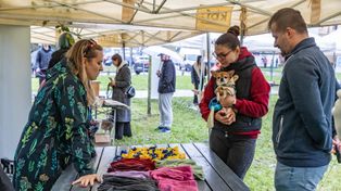 Kraków: Psy u behawiorysty i dietetyka na specjalnym pikniku