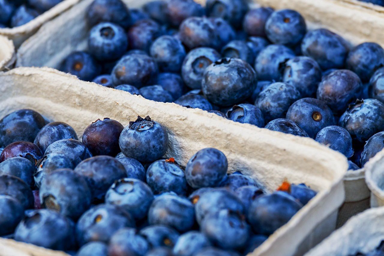 How to pick berries legally and safely?