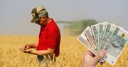 Dochód z gospodarstwa rolnego. Potrzebna dyskusja o metodach liczenia