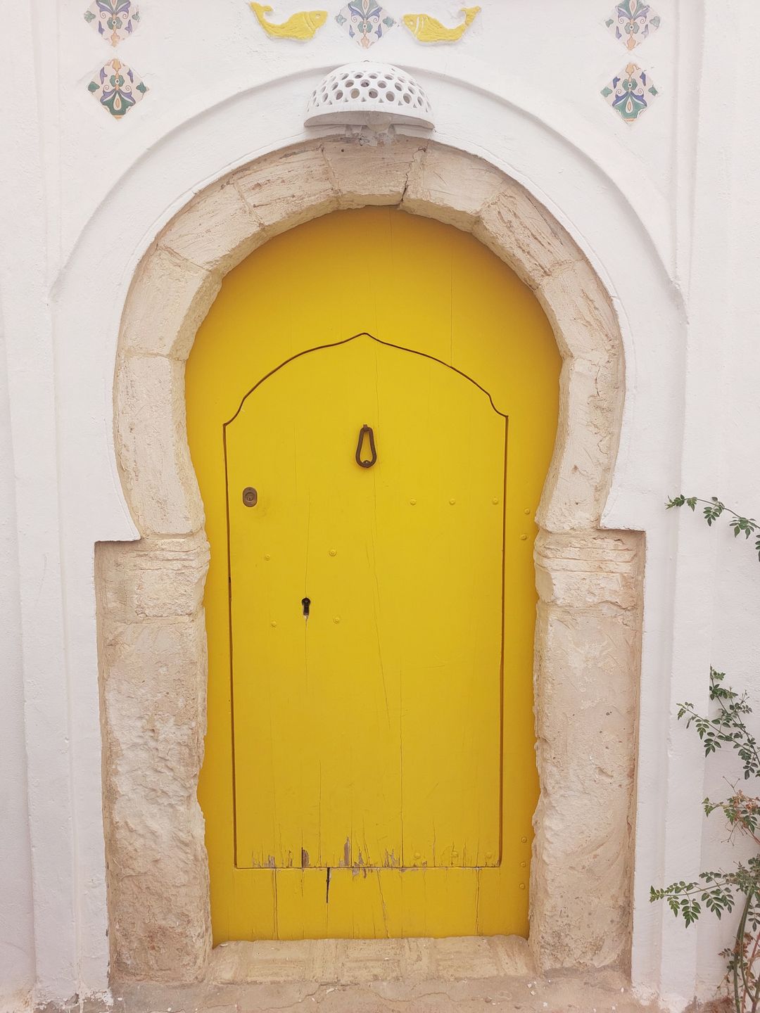 Djerbahood