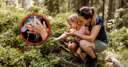 Latem ryzyko rośnie. "Objawy ostrego zapalenia wątroby"