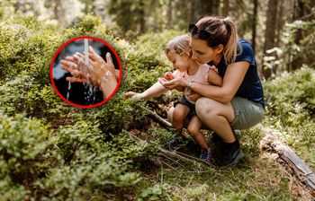 Latem ryzyko rośnie. "Objawy ostrego zapalenia wątroby"