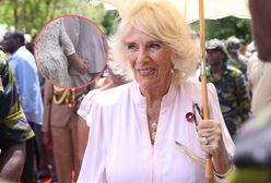 Pojechali w oficjalną podróż do Kenii. Królowa Camilla pozwoliła sobie na zbyt wiele?