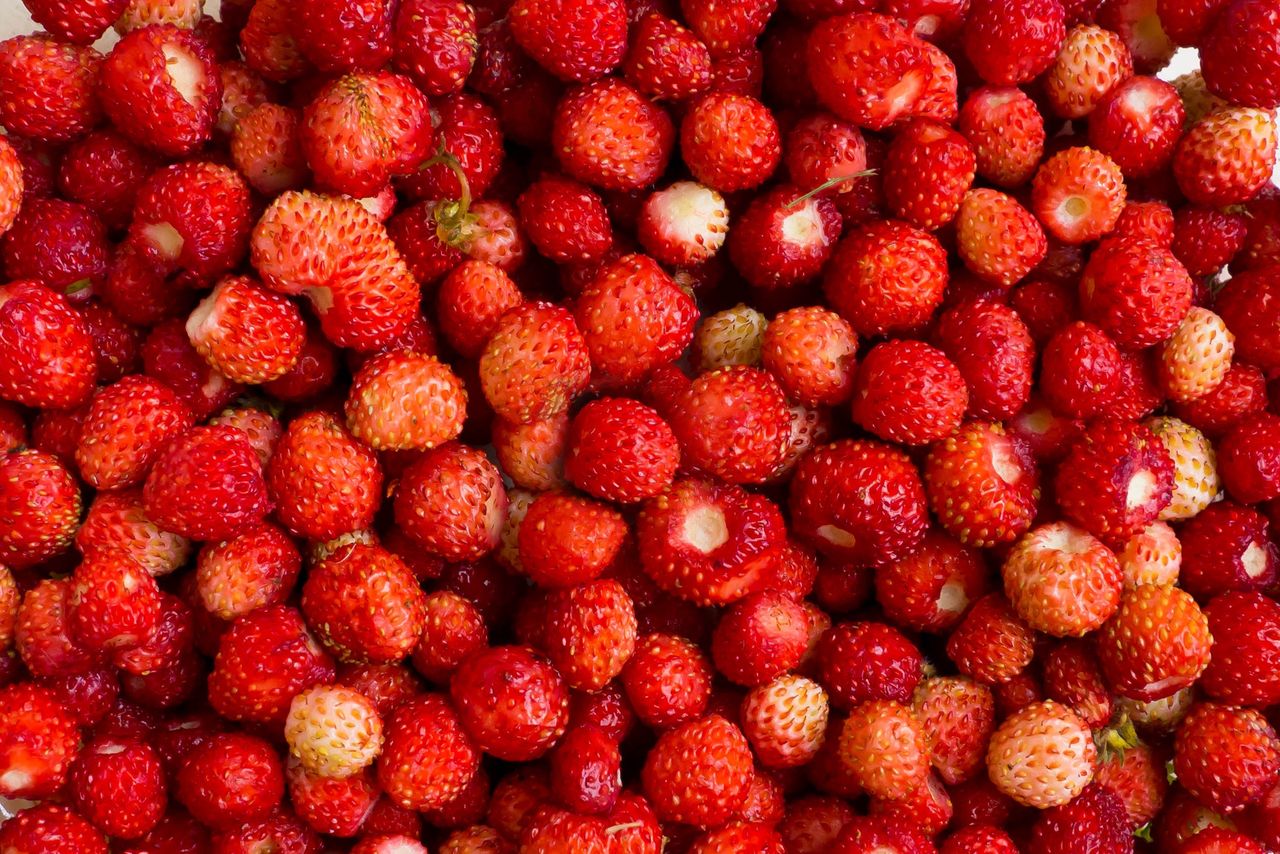 wild strawberries